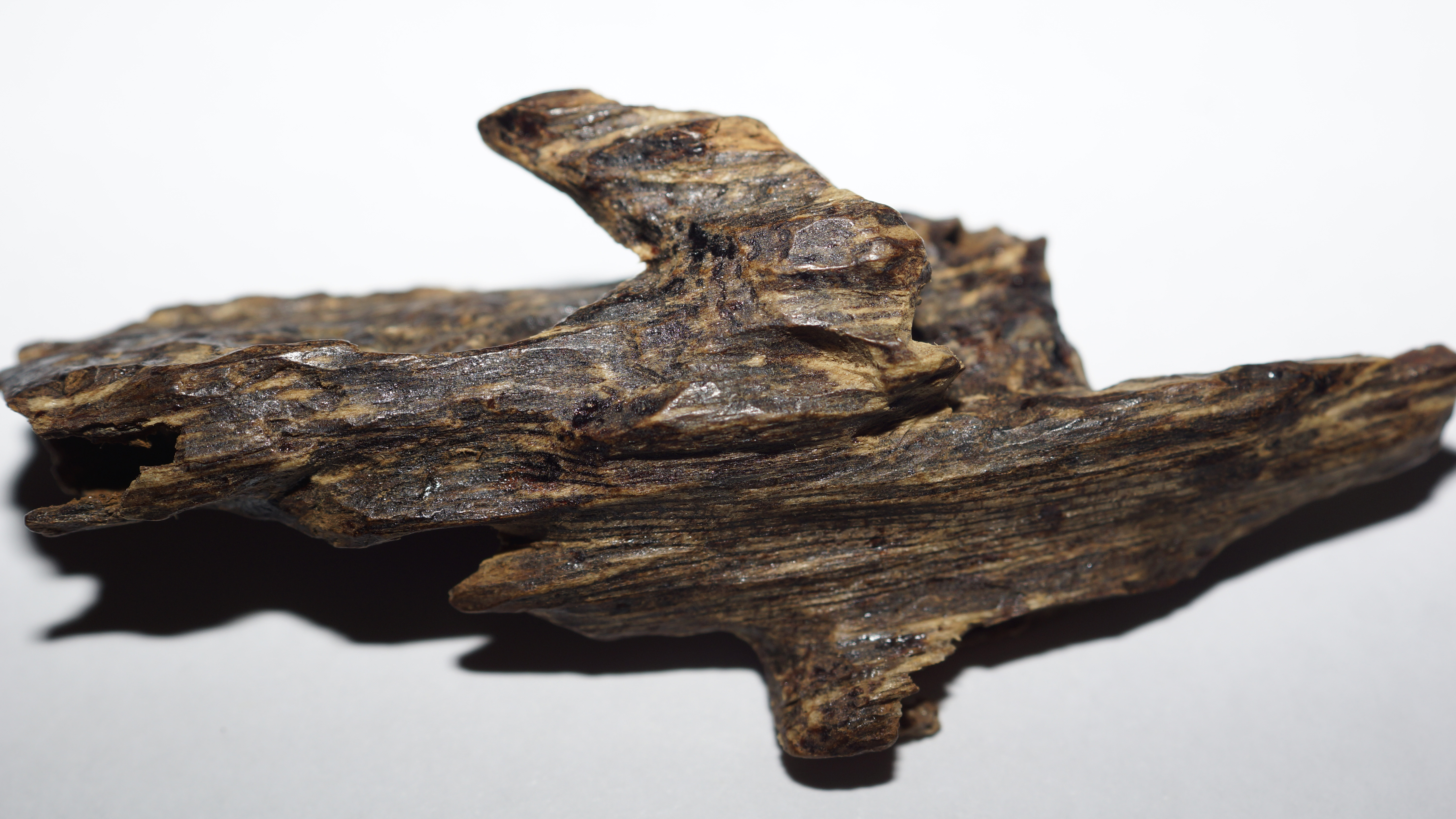 [Ouddict.com] Oud Wood