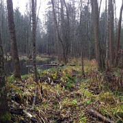 IMG-4484