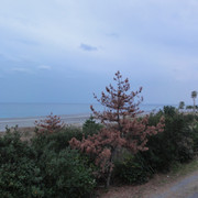 2010-12-11-059