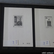 IMG-2354