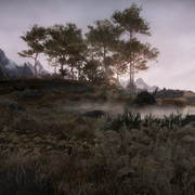 Whiterun Tundra