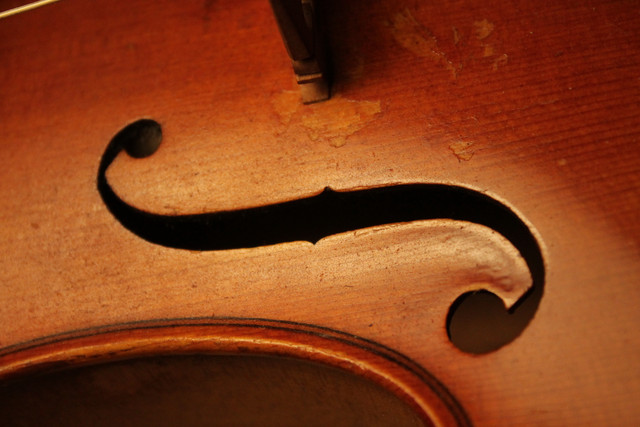 IMG-1917