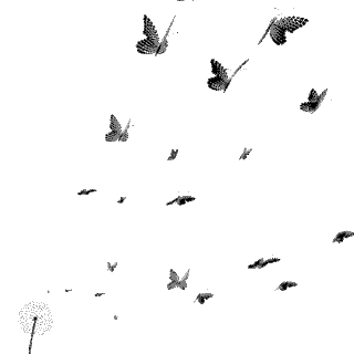 20200402-012.gif