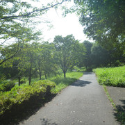 P1340777