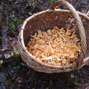 DSC07505