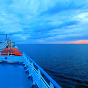 IMG-0600