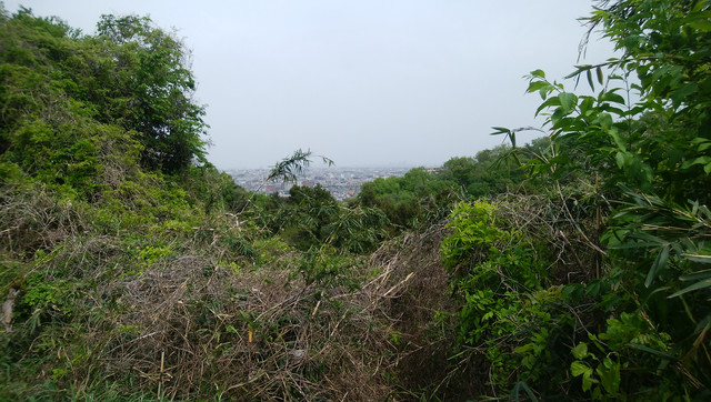 DSC-0013