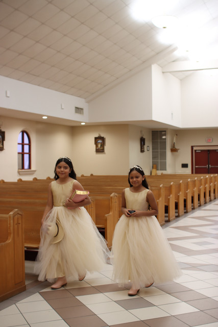 IMG-8124