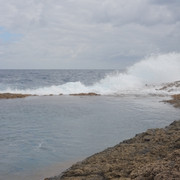 DSCF8599