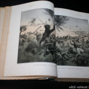IMG-7097