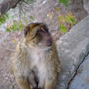 DSCF8492