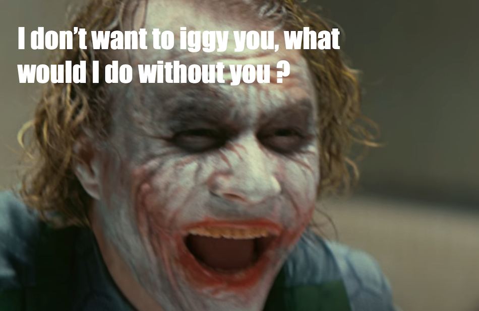 iggy3.png
