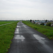 2010-07-07-155-131