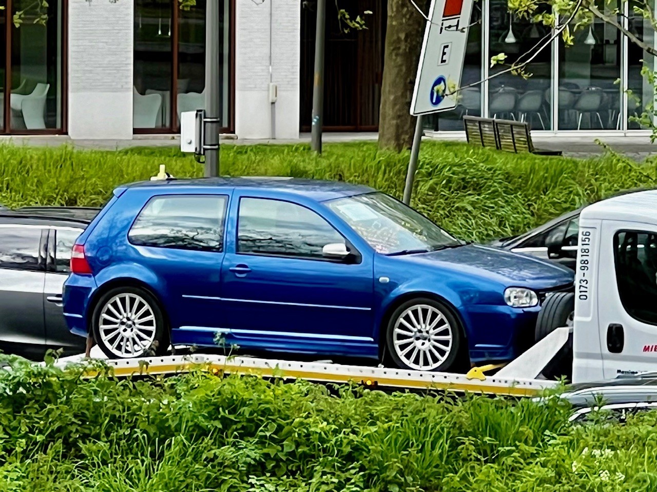 spot202433.jpg