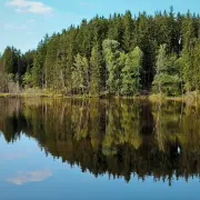 Rybník Kajetán