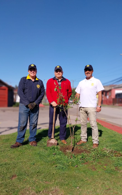 NOTICIAS ROTARY CLUB QUINTERO - Foto 1