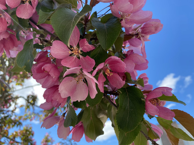 9-D5-A1829-1204-4025-879-E-3613-C0-D6326