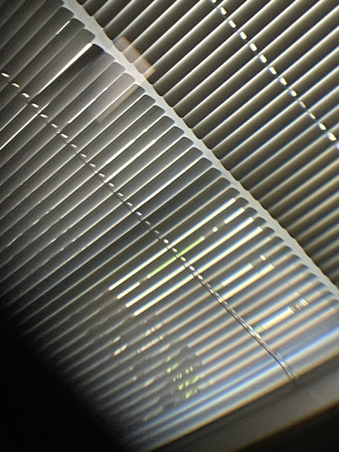 IMG-7114