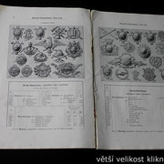 IMG-3496