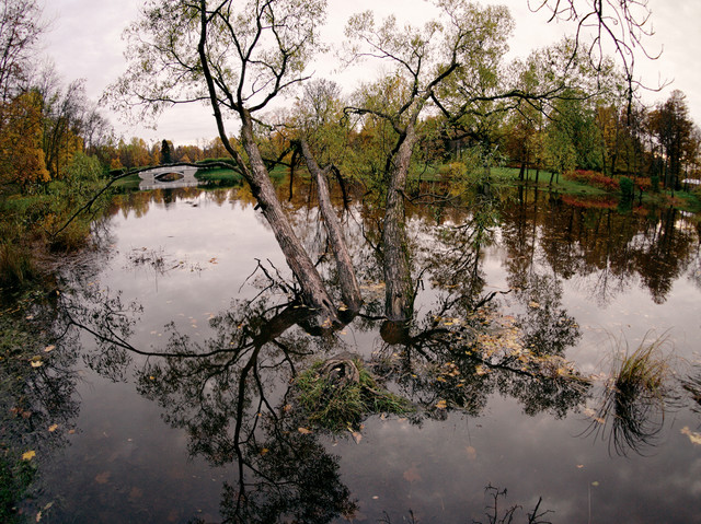 P1011983.jpg