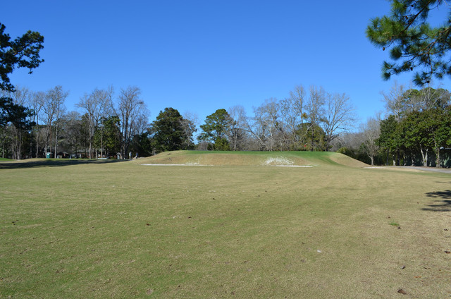 DSC-0809