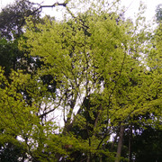 DSC-0032