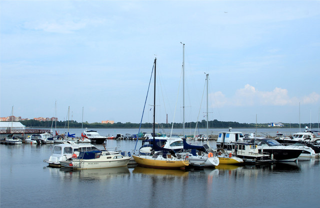 IMG-1861