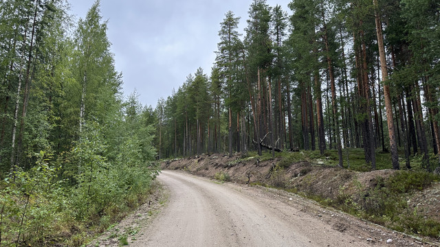 IMG 4963.jpg