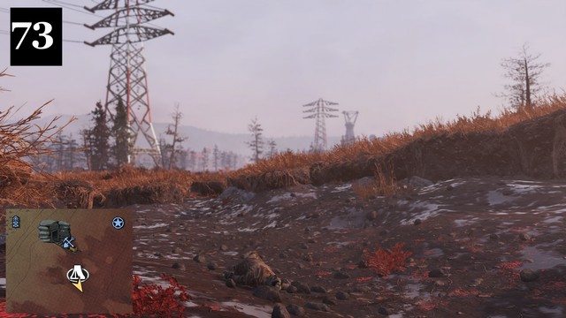 73.jpg