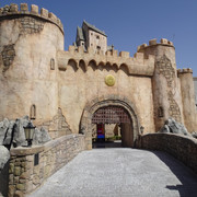 DSC08008