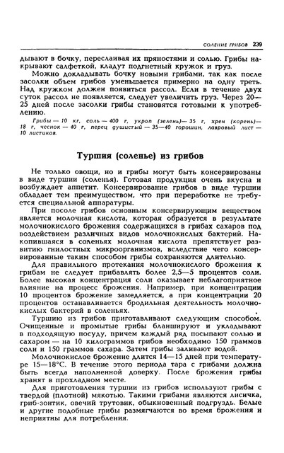 1989-242