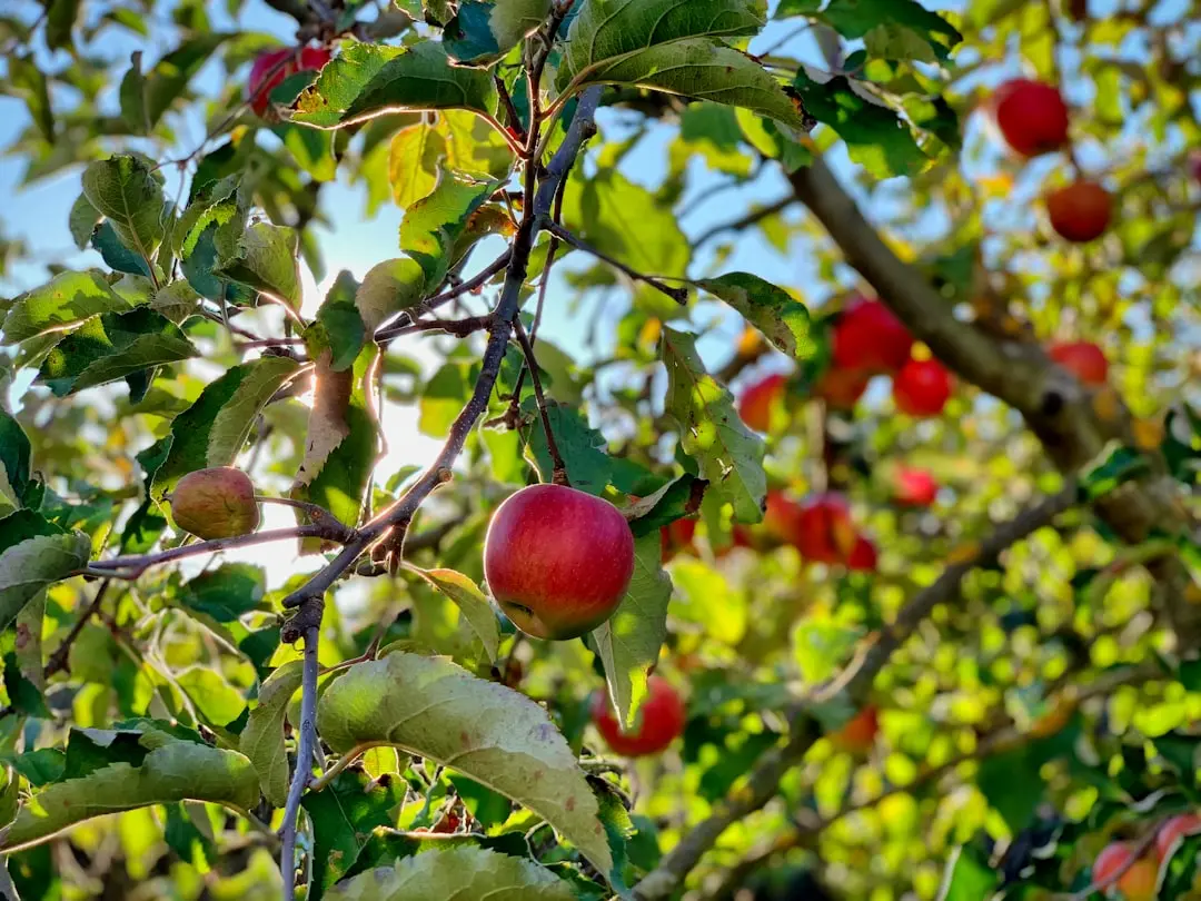 Apple Prepares October Launch for New MacBook Pro and iMac Models