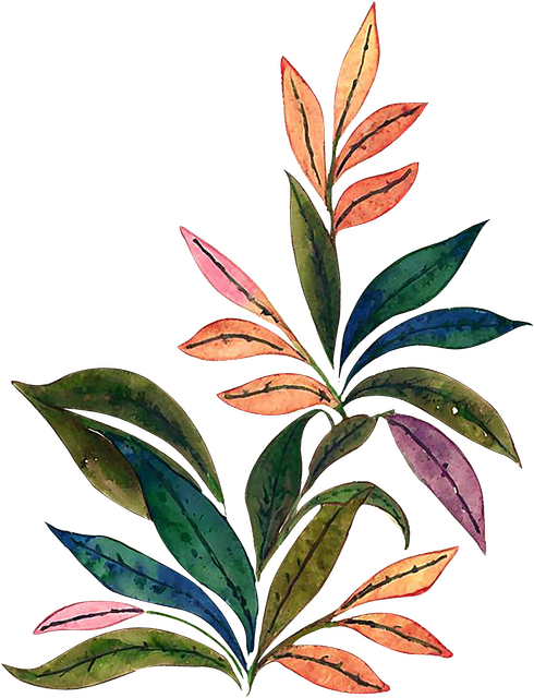 d230eba5f5819d3ce4daf8a3c19efa12 copy.png