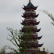 DSC08696