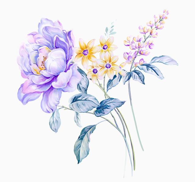 shutterstock 2157374147.jpg