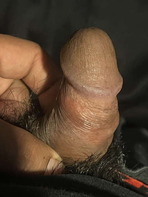 IMG 2019