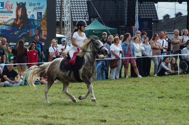 DSC05396.jpg