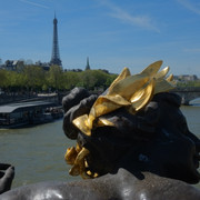 DSCF9194