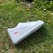 IMG 4984