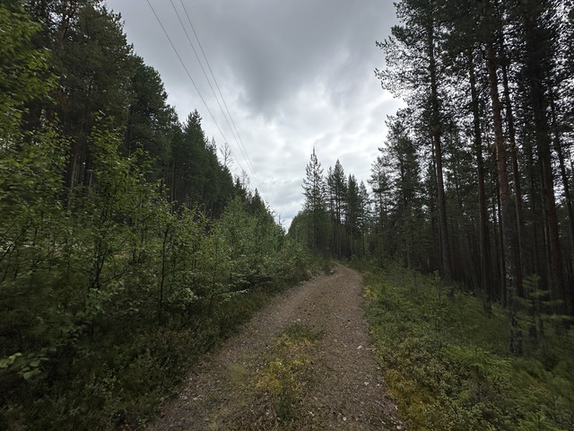 IMG 5768.jpg