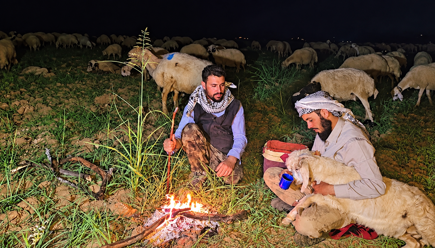 يحرسون مواشيهم وآبارهم ليلاً.. هواجس الأمن تؤرق سكان جنوب الحسكة