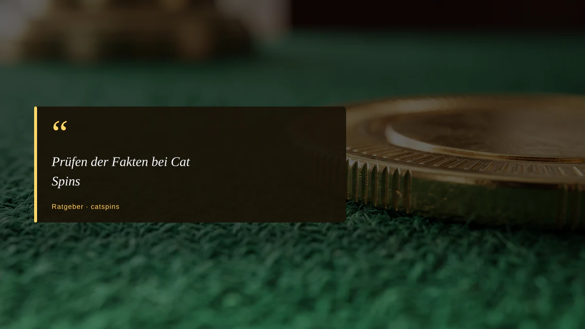 Prüfen der Fakten bei Cat Spins