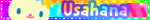 dswmc AQ