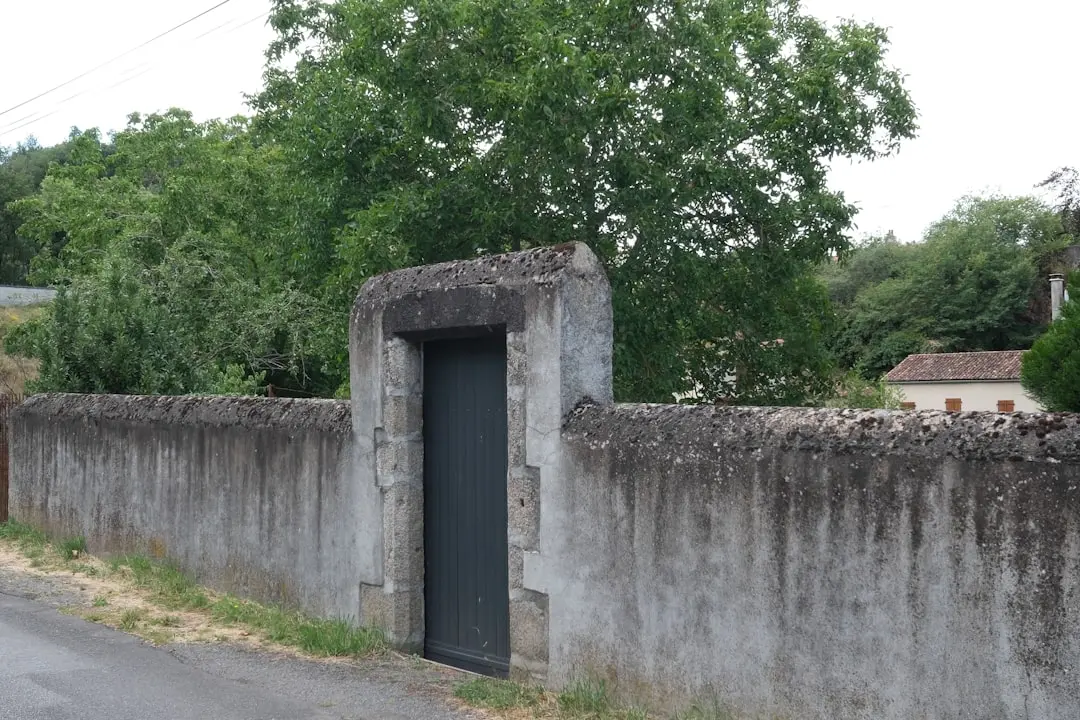 Portal nou de proprietate Lansări cu mii de liste