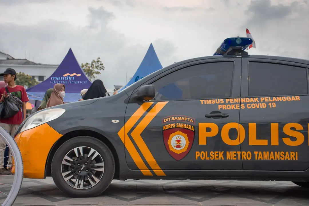 Despăgubiri de peste 421 milioane euro plătite prin asigurări de viață în 2023