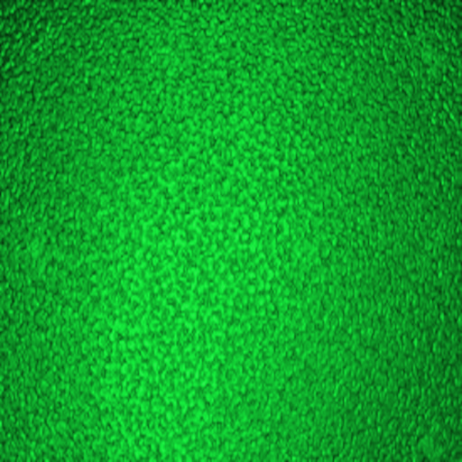 BAR.png