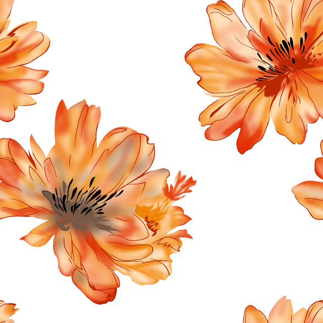 91fb2f65fba9da451a360b39c4b927e6.png