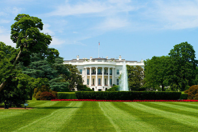 white house.jpg