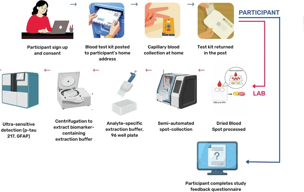 At-Home Tests May Predict Dementia Risk