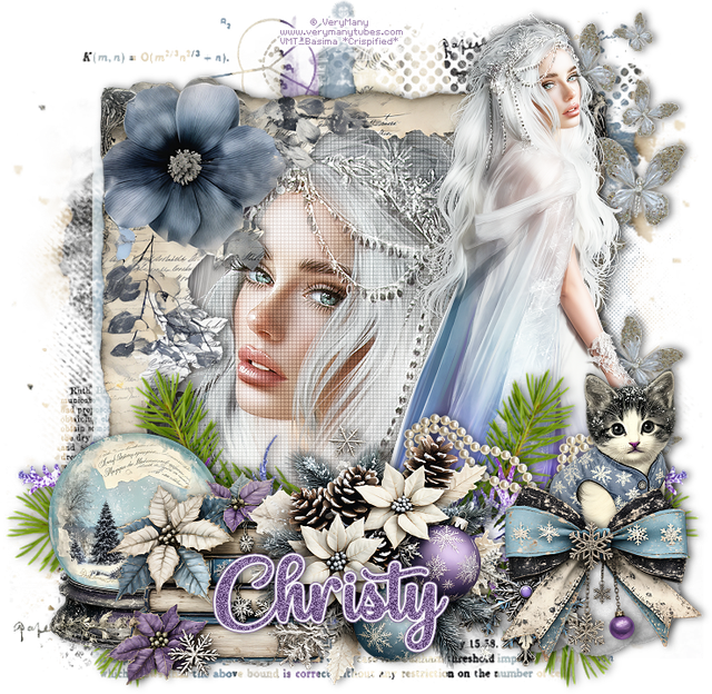 Christy 4972F.png